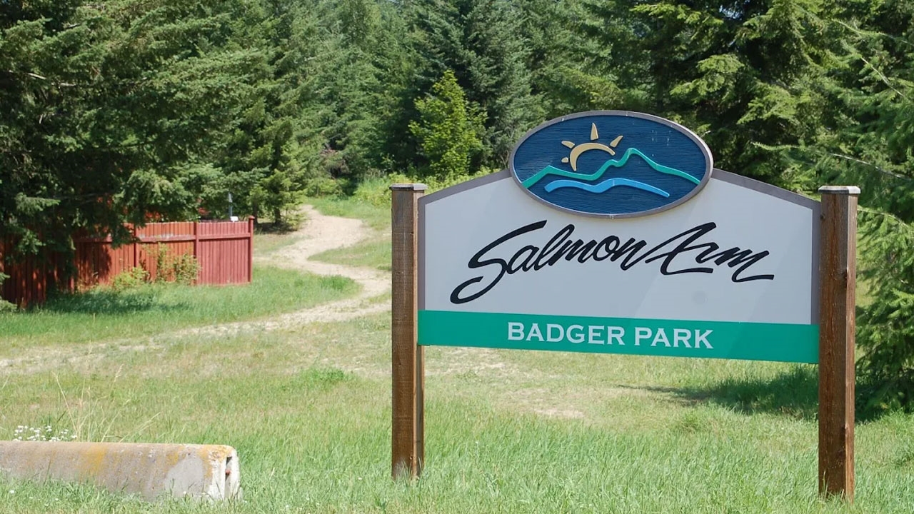 Open green space and trees at Badger Park in Salmon Arm