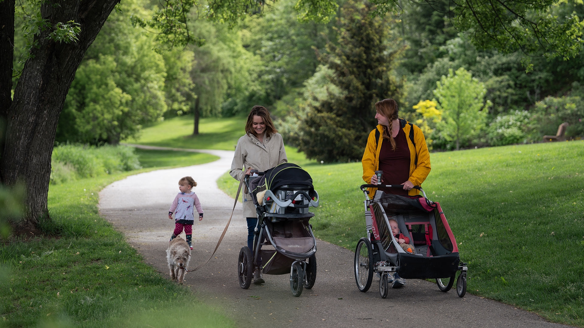 Families with young kids and a dog strolling a leafy green Shuswap park path
