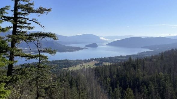 The view over Shuswap Lake from the reopened Mt. Baldy trail